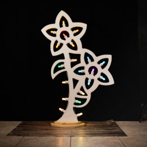 fiori (20)