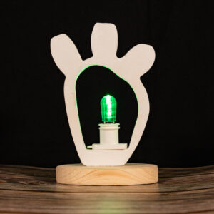 Fico d'india (1 Luce)